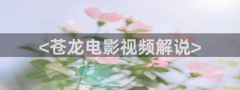 新闻图片